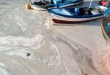 ÇED Raporu Yetmez, Taahhütler Denetlenmeli – Prof. Dr. Süheyla Suzan Gökalp Alıca